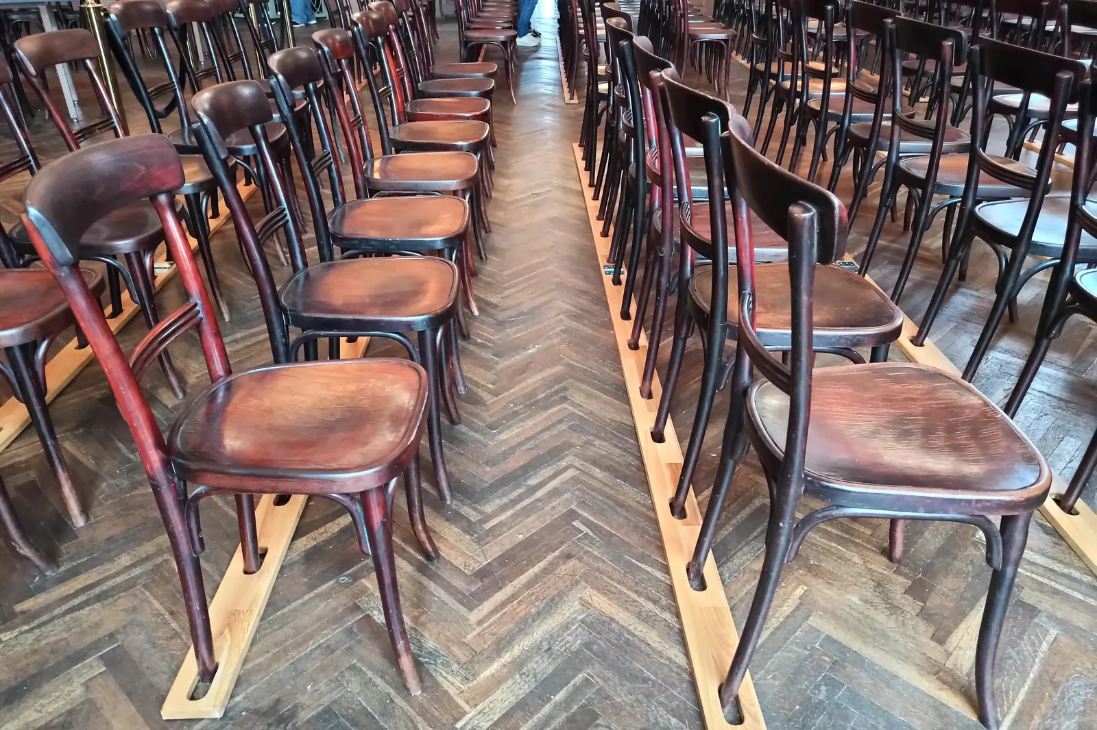 Rows of dark bentwood chairs with curved backs and wooden seats standing on a herringbone parquet floor